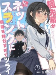 镖人封面